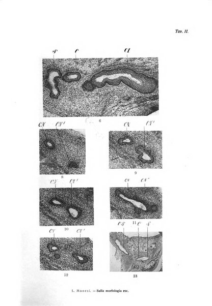 Annali di ottalmologia