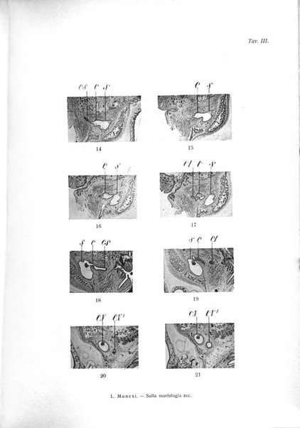 Annali di ottalmologia