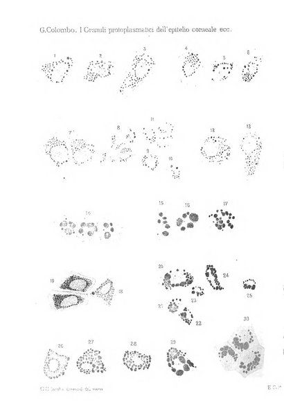 Annali di ottalmologia