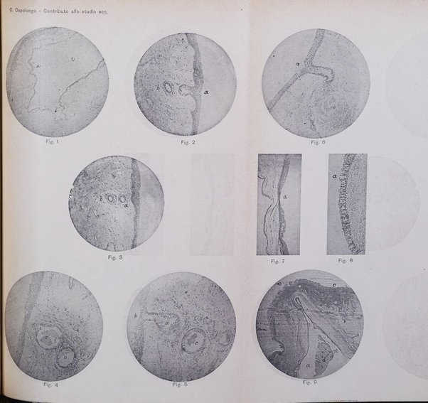 Annali di ottalmologia