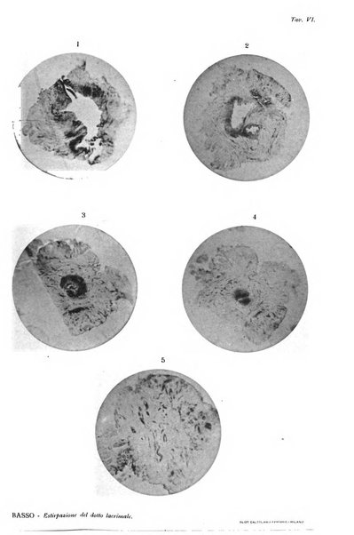 Annali di ottalmologia