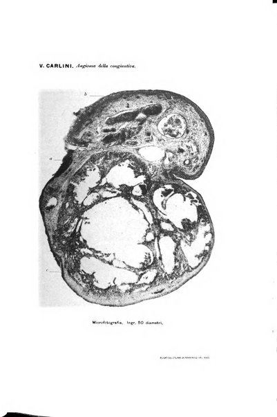 Annali di ottalmologia