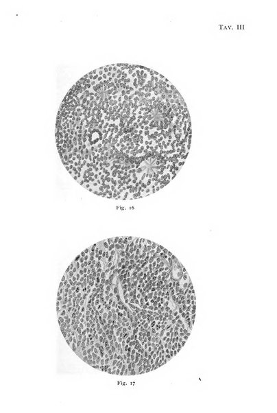 Annali di ottalmologia