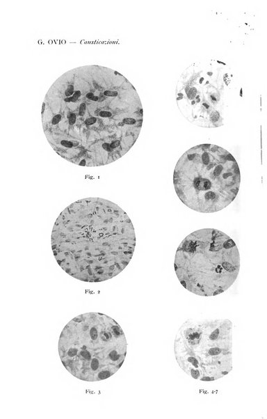 Annali di ottalmologia