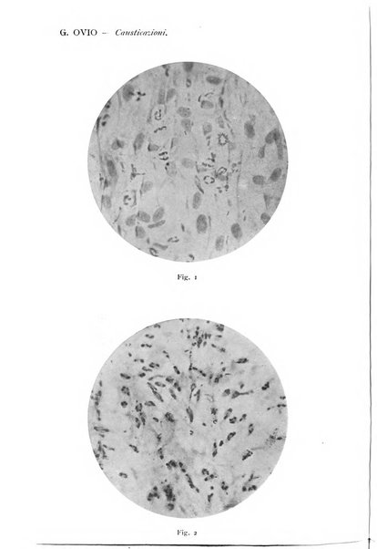 Annali di ottalmologia