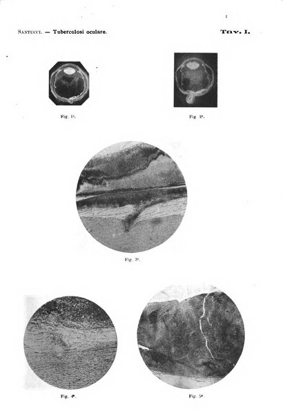 Annali di ottalmologia