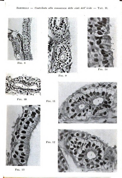 Annali di ottalmologia