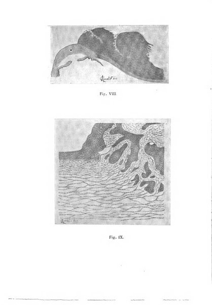 Annali di ottalmologia