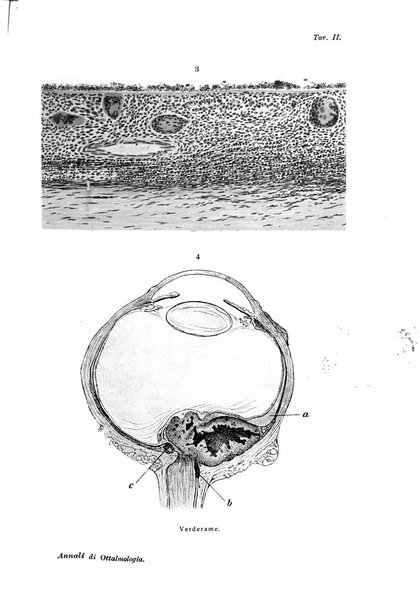 Annali di ottalmologia