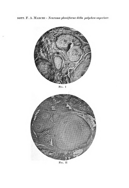 Annali di ottalmologia