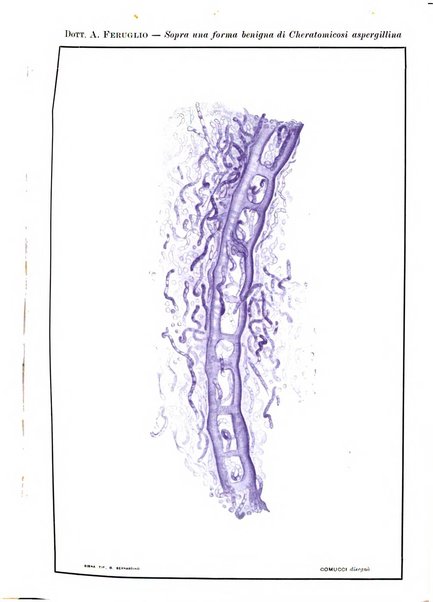 Annali di ottalmologia