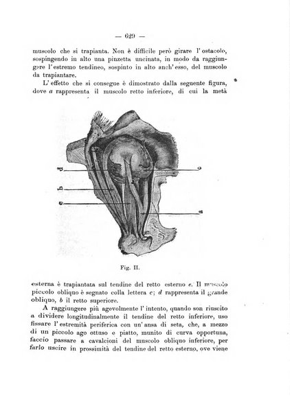 Annali di ottalmologia