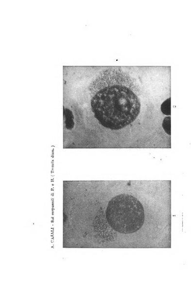 Annali di ottalmologia