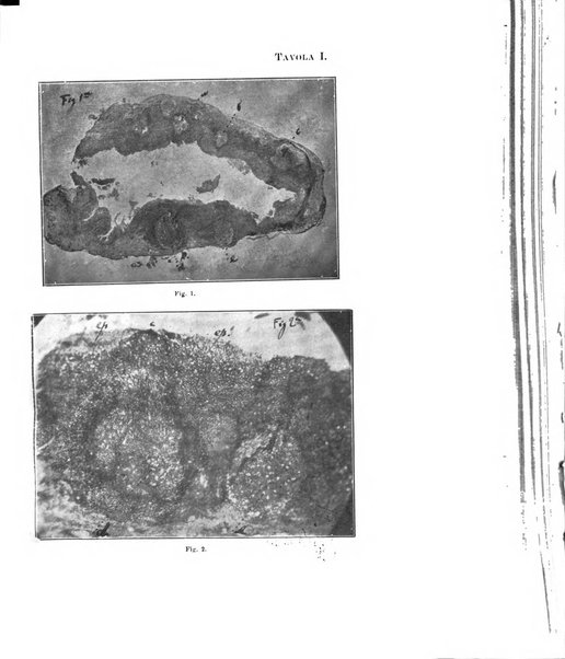 Annali di ottalmologia