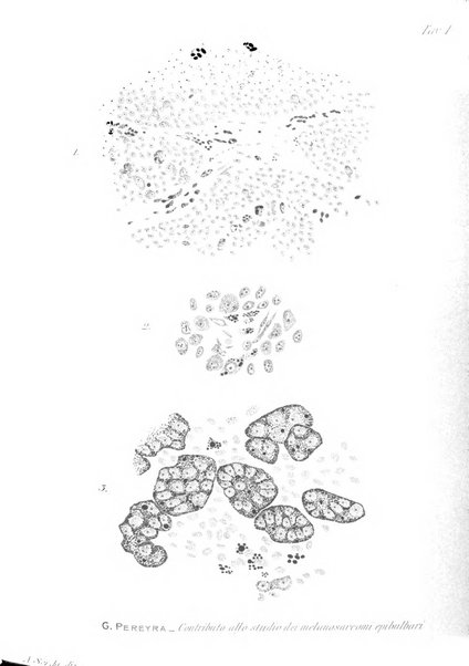 Annali di ottalmologia