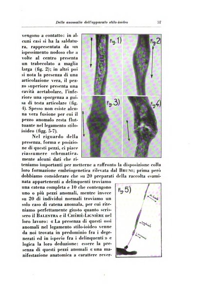 Annali di radiologia e fisica medica