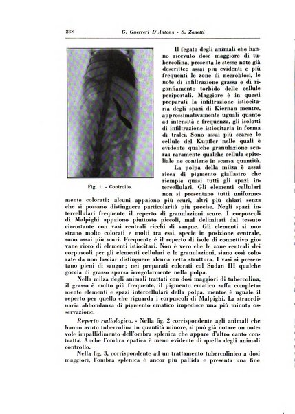 Annali di radiologia e fisica medica