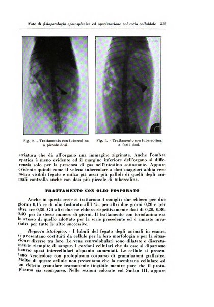 Annali di radiologia e fisica medica