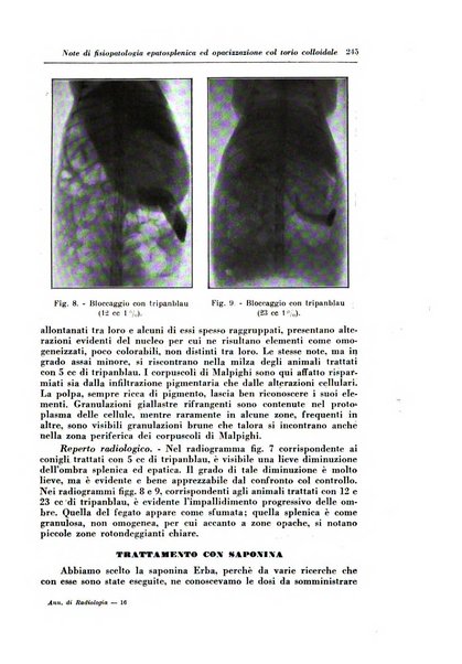 Annali di radiologia e fisica medica