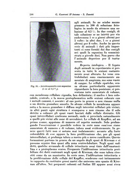 Annali di radiologia e fisica medica