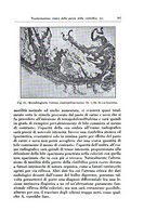 giornale/TO00175354/1934/unico/00000343