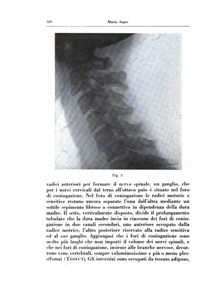 Annali di radiologia e fisica medica