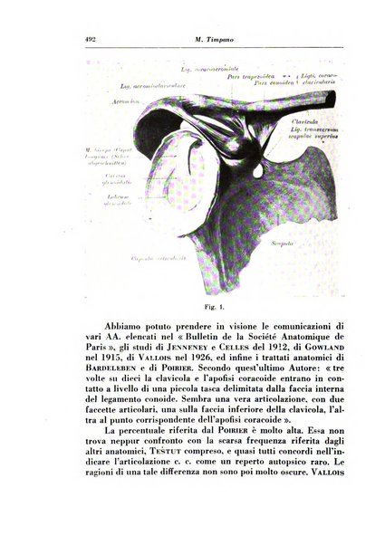 Annali di radiologia e fisica medica