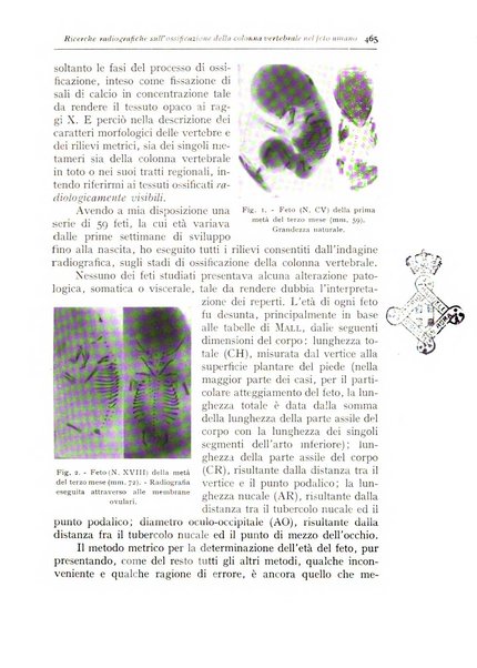 Annali di radiologia e fisica medica