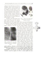 giornale/TO00175354/1935/unico/00000585