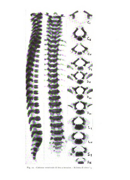 Annali di radiologia e fisica medica