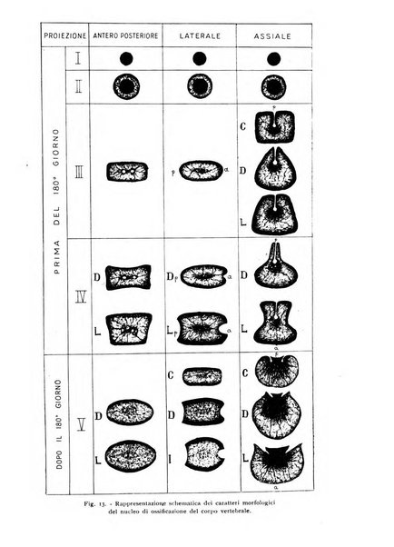 Annali di radiologia e fisica medica