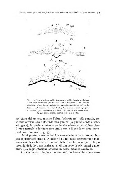 Annali di radiologia e fisica medica