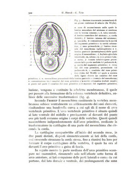 Annali di radiologia e fisica medica