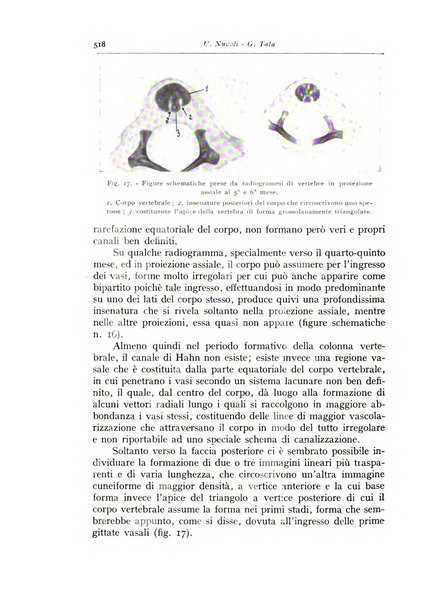 Annali di radiologia e fisica medica