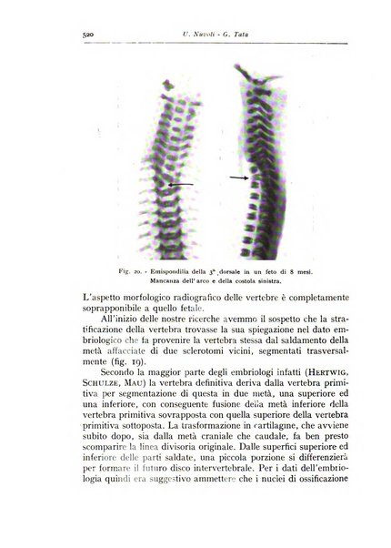 Annali di radiologia e fisica medica