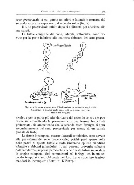 Annali di radiologia e fisica medica