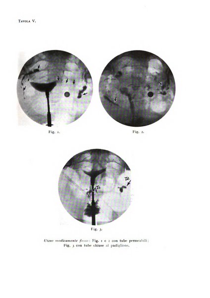 Annali di radiologia e fisica medica