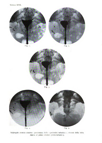 Annali di radiologia e fisica medica