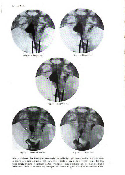 Annali di radiologia e fisica medica