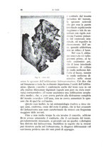 giornale/TO00175354/1936/unico/00000074