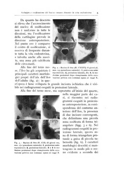 Annali di radiologia e fisica medica