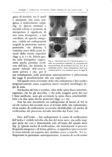 Annali di radiologia e fisica medica