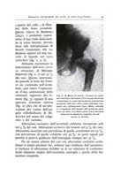 giornale/TO00175354/1937/unico/00000061