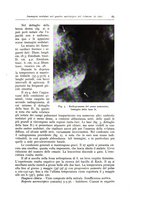 giornale/TO00175354/1937/unico/00000081