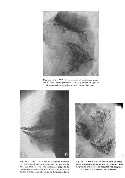 Annali di radiologia e fisica medica