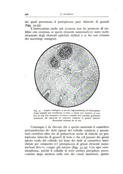 Annali di radiologia e fisica medica