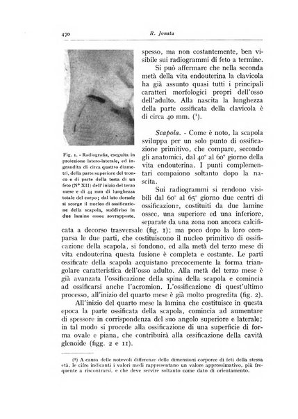 Annali di radiologia e fisica medica