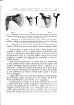 giornale/TO00175354/1937/unico/00000531