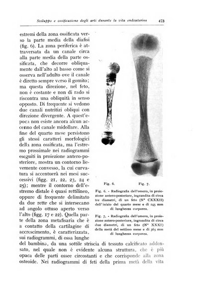 Annali di radiologia e fisica medica