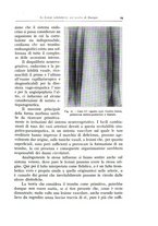 giornale/TO00175354/1938/unico/00000029